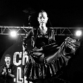 flamenco (107)